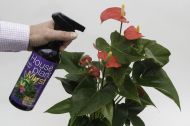 Houseplant Myst 750ml. – Comprehensive care for houseplants