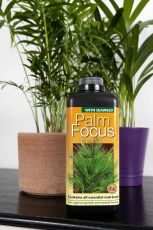 Palm Focus 1L – Balanced fertilizer for palm trees