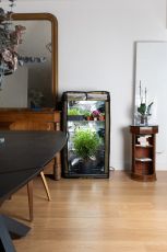 Sicret Jardin The Original 60