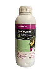 Bactoil SC - Bacillus Thuringiensis 1l. - insecticid organic împotriva omizilor