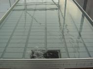 Standard greenhouse trays