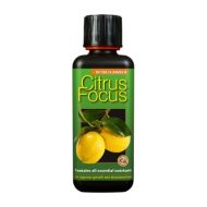 Citrus Focus 300ml. – Îngrășământ specializat pentru plante de citrice