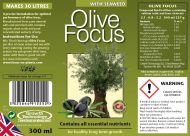 Olive Focus 300ml. - fertilizer for olive trees
