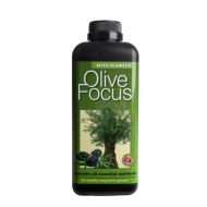 Olive Focus 1l. - fertilizer for olive trees