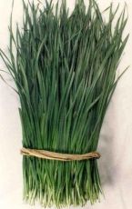 Semințe de usturoi (Allium tuberosum) - 750 buc. (2,5 g)