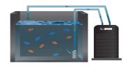 Hailea HC-1000A Chiller 1500-4000 l/h. - Chiller / răcitor pentru acvarii / acvarii