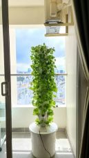 Grădină verticală hidroponică — un kit complet pentru grădinărit hidroponic vertical