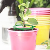 Inel de irigare pentru o distribuție uniformă a apei la rădăcină