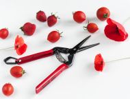 Foarfece de grădină CHIKAMASA T-55C (lamă lungă)