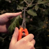 Foarfece de grădină CHIKAMASA TP-530S (ultraușoare)