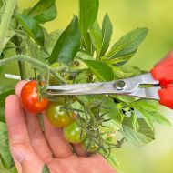 Foarfece de grădină CHIKAMASA TP-530S (ultraușoare)