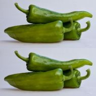 Semințe de ardei iute - Anaheim - 15 bucăți