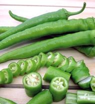 Semințe de ardei iute - Sera Demre - 15 bucăți