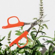 Foarfece japoneze profesionale CHIKAMASA B-220S