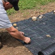 Prelată agrotextilă pentru combaterea buruienilor din material nețesut 50 g/m² Negru – 1,1 m x 100 m