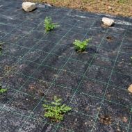 Prelată agrotextilă pentru combaterea buruienilor din material nețesut 50 g/m² Negru – 1,1 m x 100 m