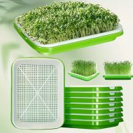 🌱 Microgreen germination tray set with mesh and lid, dimensions 24/32cm