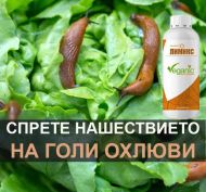 Limix 1l - împotriva melcilor