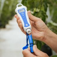 Sondă de schimb Bluelab pH PenPlus