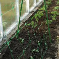 Bradas PLANT NET 2 × 10 m climbing plant net