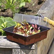 Mini seră Windhager cu 12 discuri de cocos de 19,5x19cm incluse