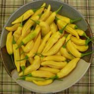 Semințe de ardei iute „Aji Pineapple” - 15 buc.