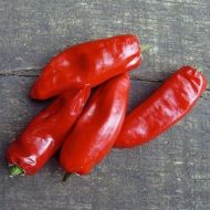 Semințe de ardei iute din soiul Piment de la Bresse - 15 buc.