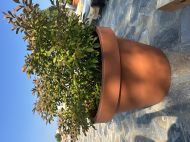 BIG POT LIRA TERRACOTTA 54x45 TERRACOTTA 84L