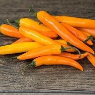 Portocală thailandeză (Orange Thai) - 15 semințe