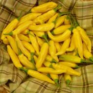 Ananas Aji (Aji Pineaple) - 15 semințe