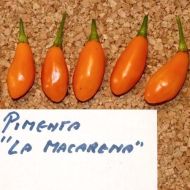 Pimenta La Macarena - 15 de semințe