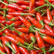 Tabasco Roșu (Tabasco Red) - 10 semințe