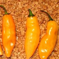 Amestec de lămâie Colormix (Limon Colormix) - 25 de semințe