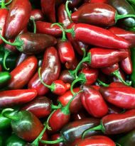 Italiano Adorno - 15 seeds