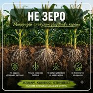 Ne-Zero (NE-ZERØ) – ciuperci benefice Metarhizium anisopliae și Paecilomyces fumosoroseus (Isaria)