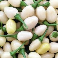 Habanero White Bullet - 15 seeds
