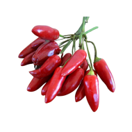 Diavolul calabrez (Little Devil Calabrese / Diavolicchio Calabrese) - 25 semințe