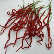 Thunder Mountain Longhorn - 15 seeds