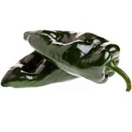 Ancho (Ancho Poblano) - 15 semințe