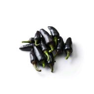 Explosive Ember / Royal Black - 15 semințe