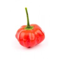 Pumpkin Chili - 15 seeds