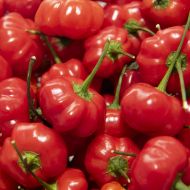 Pumpkin Chili - 15 seeds