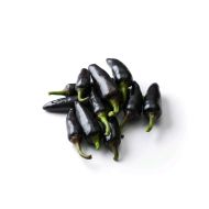 Explosive Ember / Royal Black - 15 seeds