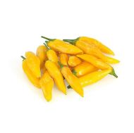 Aji Pineapple - 15 pcs. seeds