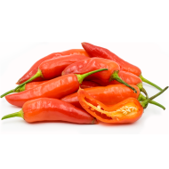 Aji Colorado - 15 semințe