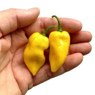 Lămâie Habanero - 15 semințe