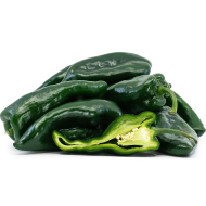 Ancho (Ancho Poblano) - 15 semințe