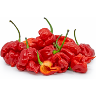 Amestec Trinidad Scorpion Moruga (Trinidad Scorpion Moruga Blend) - 5 semințe
