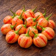 Piersică dungată (Peppapeach Stripey) - 10 semințe