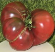 First Mate - beefsteak tomato - 15 seeds